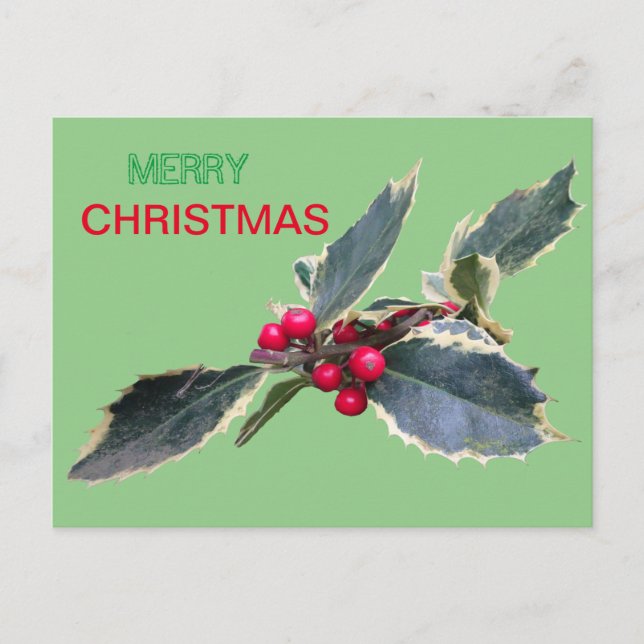 European Holly God jul Cust. vykort (Framsida)