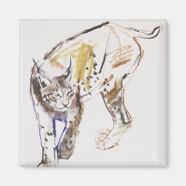 European Lynx Magnet (Framsidan)