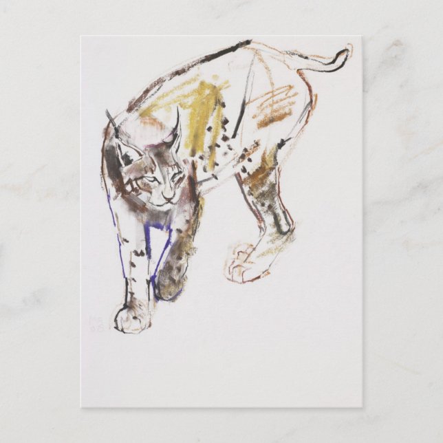 European Lynx Vykort (Framsida)