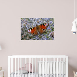 European Peacock eller Peacock Butterfly Poster