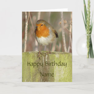 "European Robin-Bird Northumberland England" Kort