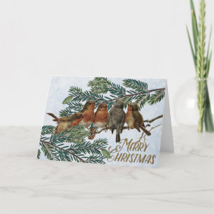 European Robin Birds jul Helgdag Evergreen Helgkort