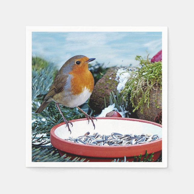 European Robin Feeder Photo Pappersservett (Framsidan)