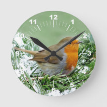 European Robin Gräs Snö Photo