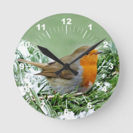 European Robin Gräs Snö Photo Rund Klocka