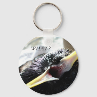 European Starling Keychain Nyckelring
