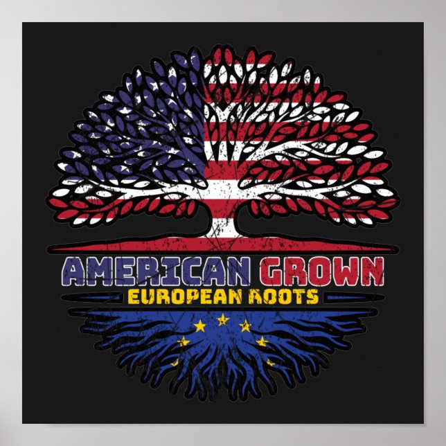 European Union EU Europe US American USA United Poster (Framsidan)