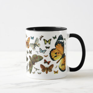 EuropéfjärilsCollage Mugg