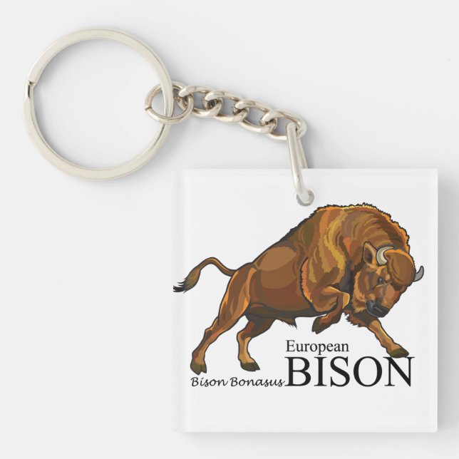 Europeisk bison (Framsidan)