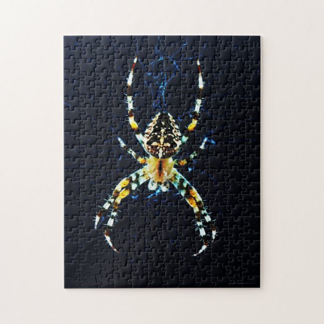 Europeisk Garden Spider 11x14 252pc jpcn Pussel (Vertikal)