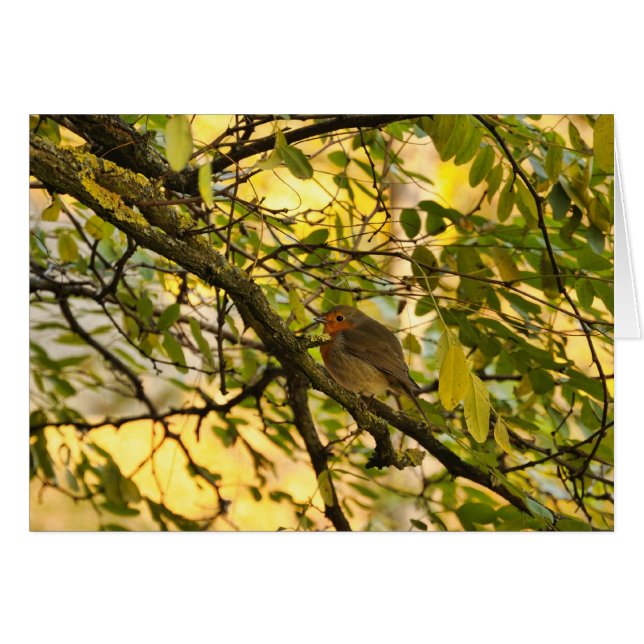 Europeisk rån OBS kort (Framsidan Horizontal)