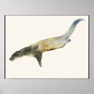 Europeisk utter poster