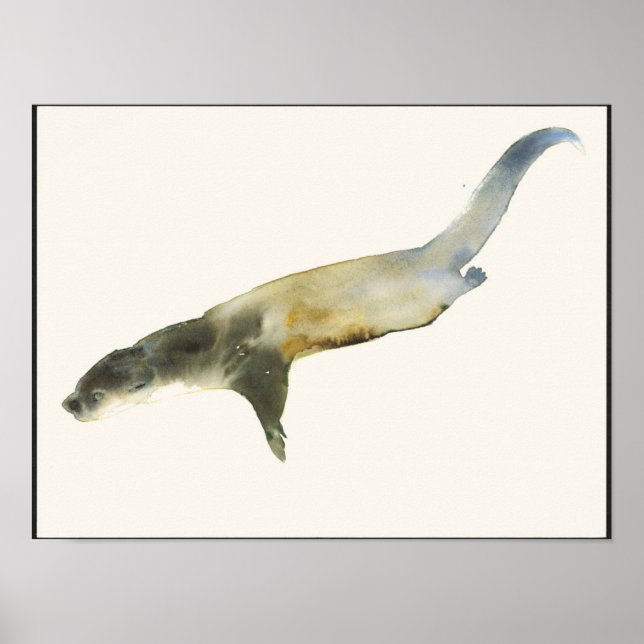 Europeisk utter poster (Framsidan)