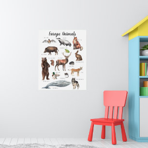 europeiska djur   Utbildningsklassrum Poster