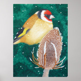 Europeiska Goldfinch Poster