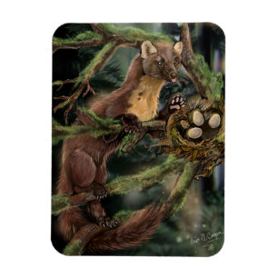 Europeiska Gräs Marten Magnet