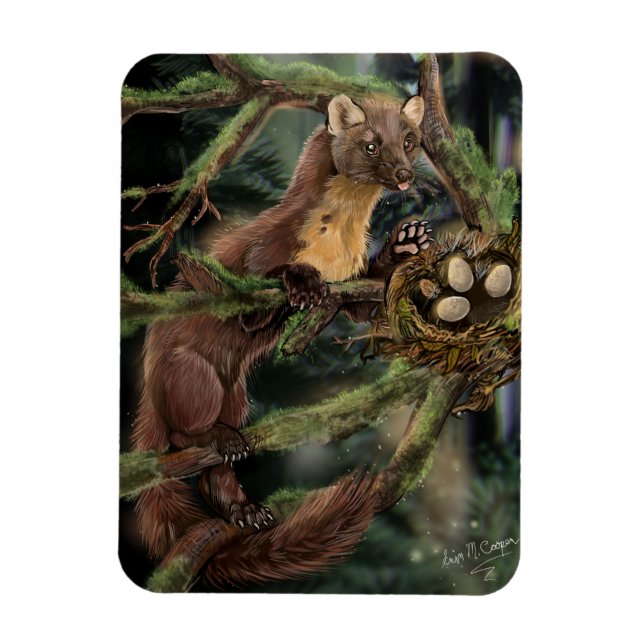 Europeiska Gräs Marten Magnet (Vertikal)