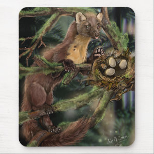 Europeiska Gräs Marten Musmatta