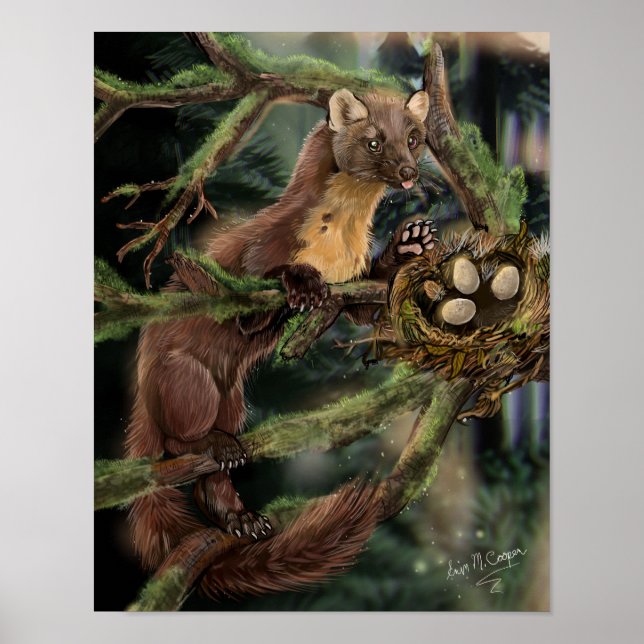 Europeiska Gräs Marten Poster (Framsidan)