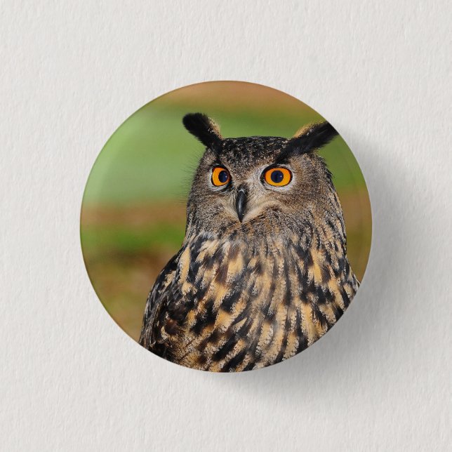 Europeiska Uggla Bird Knapp (Framsida)