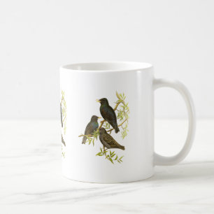 Européstare Kaffemugg