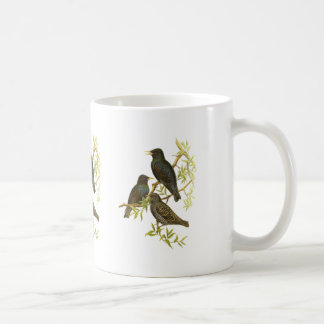 Européstare Kaffemugg
