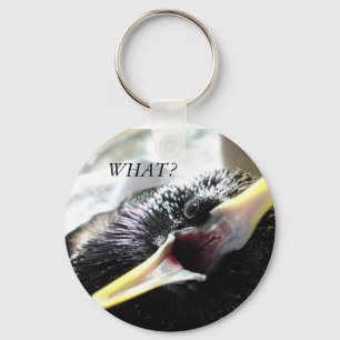 Européstare Keychain Nyckelring
