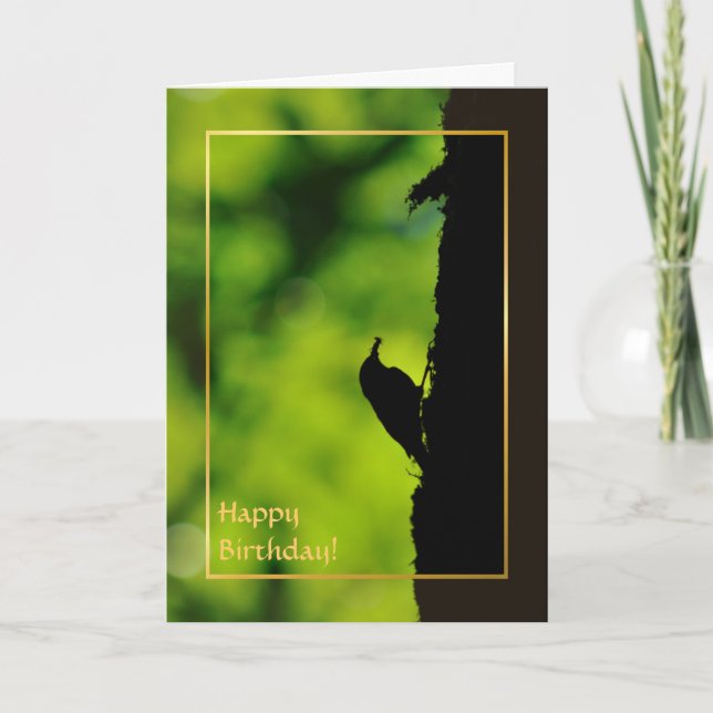 Europétreecreeper Kort (Framsida)