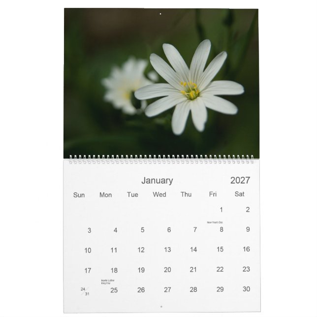 EuropéWildfowers 2009 kalender (Jan 2027)