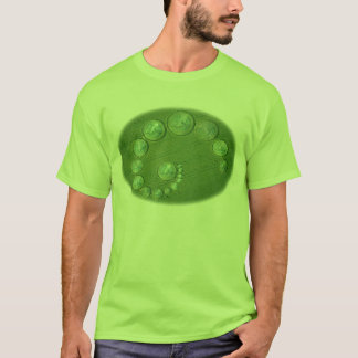 Euroskörden cirklar tee