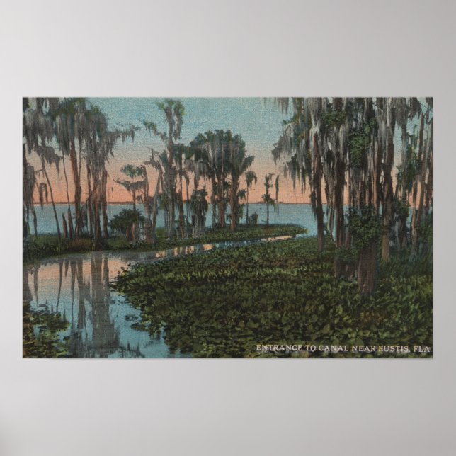 Eustis, Florida - View of Swampy Canal Poster (Framsidan)