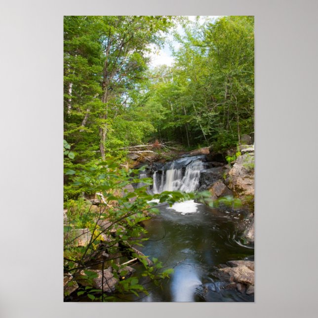 Evans Falls, Maine Poster (Framsidan)