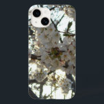 Evening Cherry Blommar II Vår Sunset<br><div class="desc">Det här är en bild av körsbärsljus i blommar med kvällssolnedgång som tagits av träd framför vårt hus. Detta är det andra i en serie av två. Ta en titt i vår butik på vackraste bilder av delikata körsbärsbärsprodukter.. blommar.. Bild är också känt som "Evening Cherry Blommar II" i widescreen...</div>