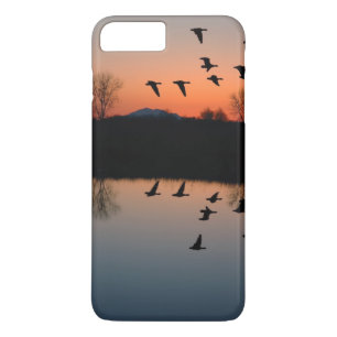 Evening Geese