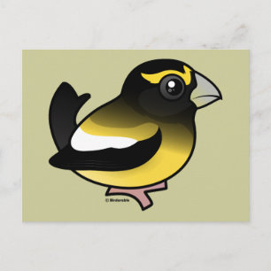 Evening Grosbeak Vykort