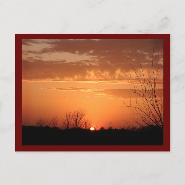 Evening Sol Vykort (Framsida)
