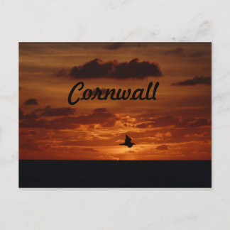 Evening Sunset Vykort