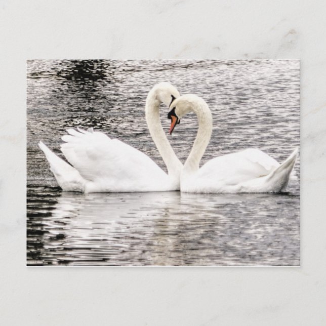 Everbestående Kärlek Vykort (Framsida)