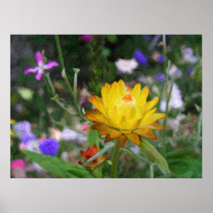 Everdurens Flowers. Poster