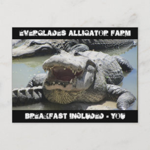 Everglades Alligator Farm - frukost ingår - u Vykort