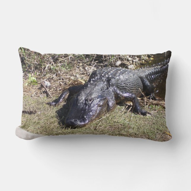 Everglades-alligatorator i varmt ljus lumbarkudde (Framsida)