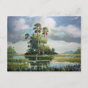 Everglades Art Vykort