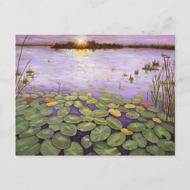 Everglades Evening Vykort (Framsida)