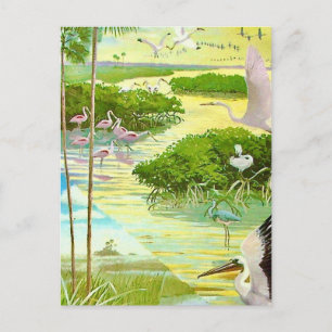 Everglades Fågel Postkort Vykort