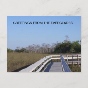 EVERGLADES FÄLTEN VYKORT