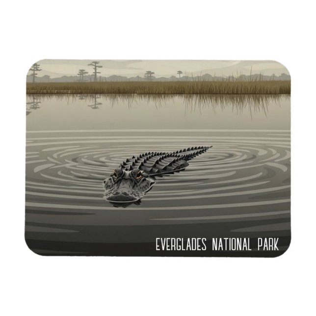 Everglades Florida Alligator Travel Magnet (Horisontell)