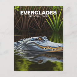 Everglades Florida Alligator Travel Vykort