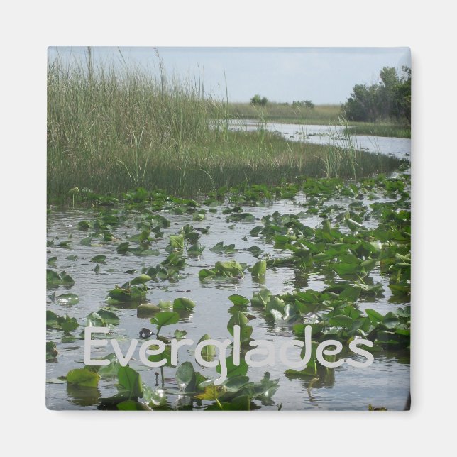 Everglades Magnet (Framsidan)
