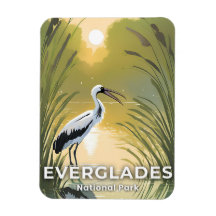 Everglades National Park | Akvarellstork
