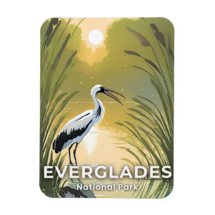 Everglades National Park Akvarellstork Magnet